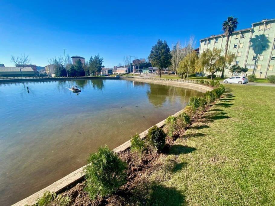 Apartamento Renovado No Centro Da Cidade - Casa4 Коимбра Экстерьер фото